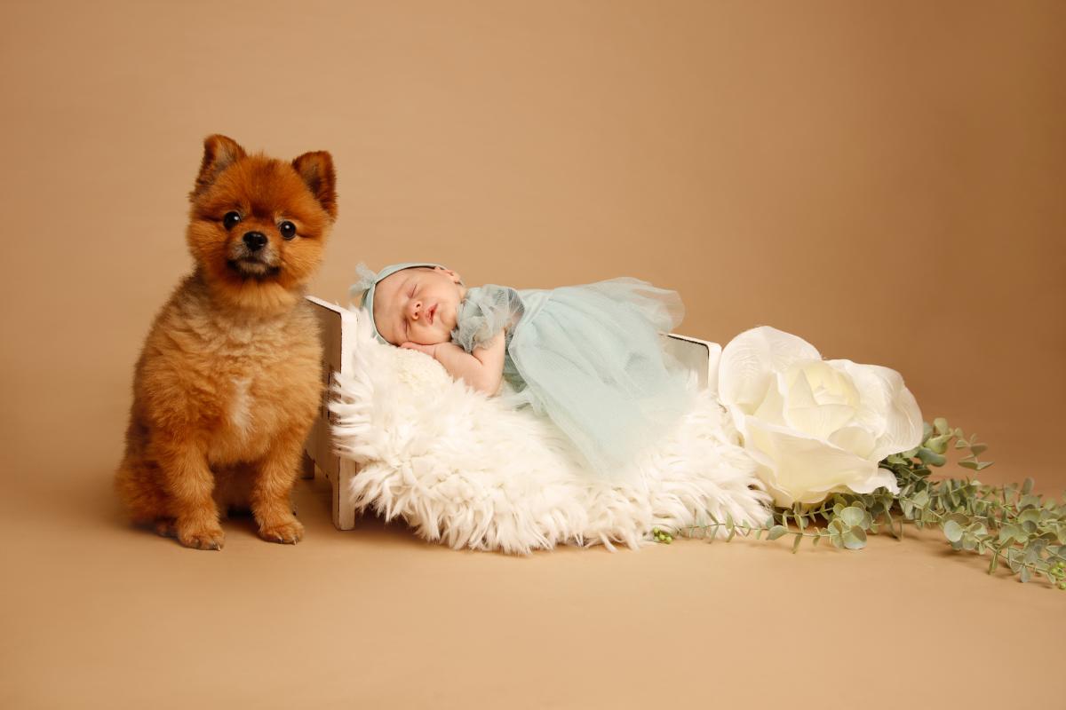 Photographe de maternité à Vire et Caen - Virginie FAVREL, photographe à Vire