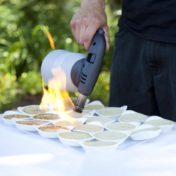 Vin d’honneur / cocktail - photographe à domicile, d'entreprise et d'événements en Normandie